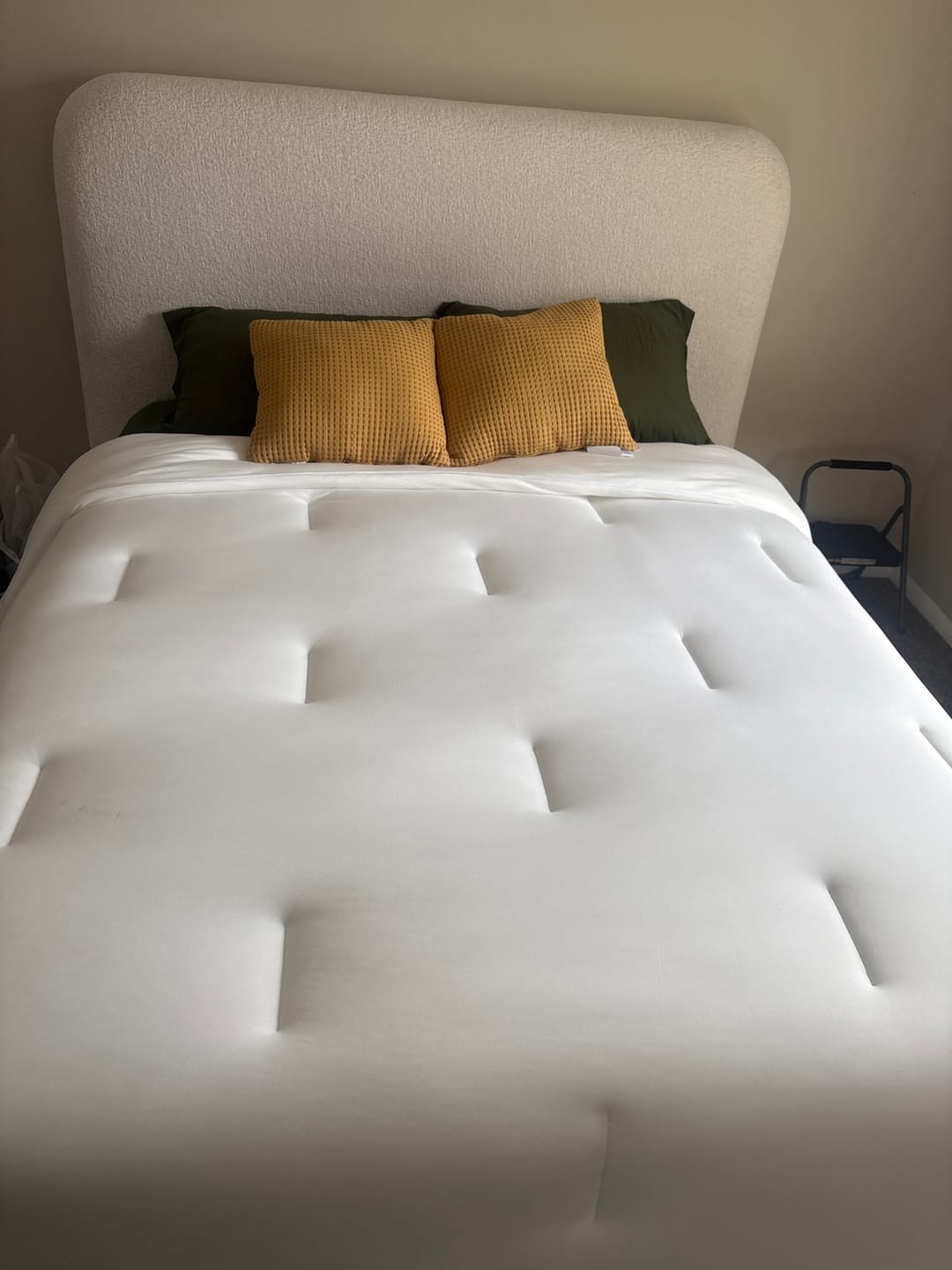 Foto enviada por Patrícia Ribeiro