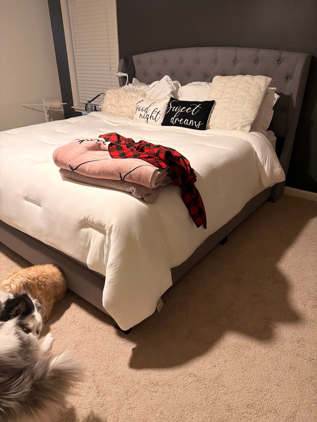 Foto enviada por Aline Martins